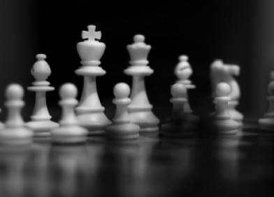 Дебют слона